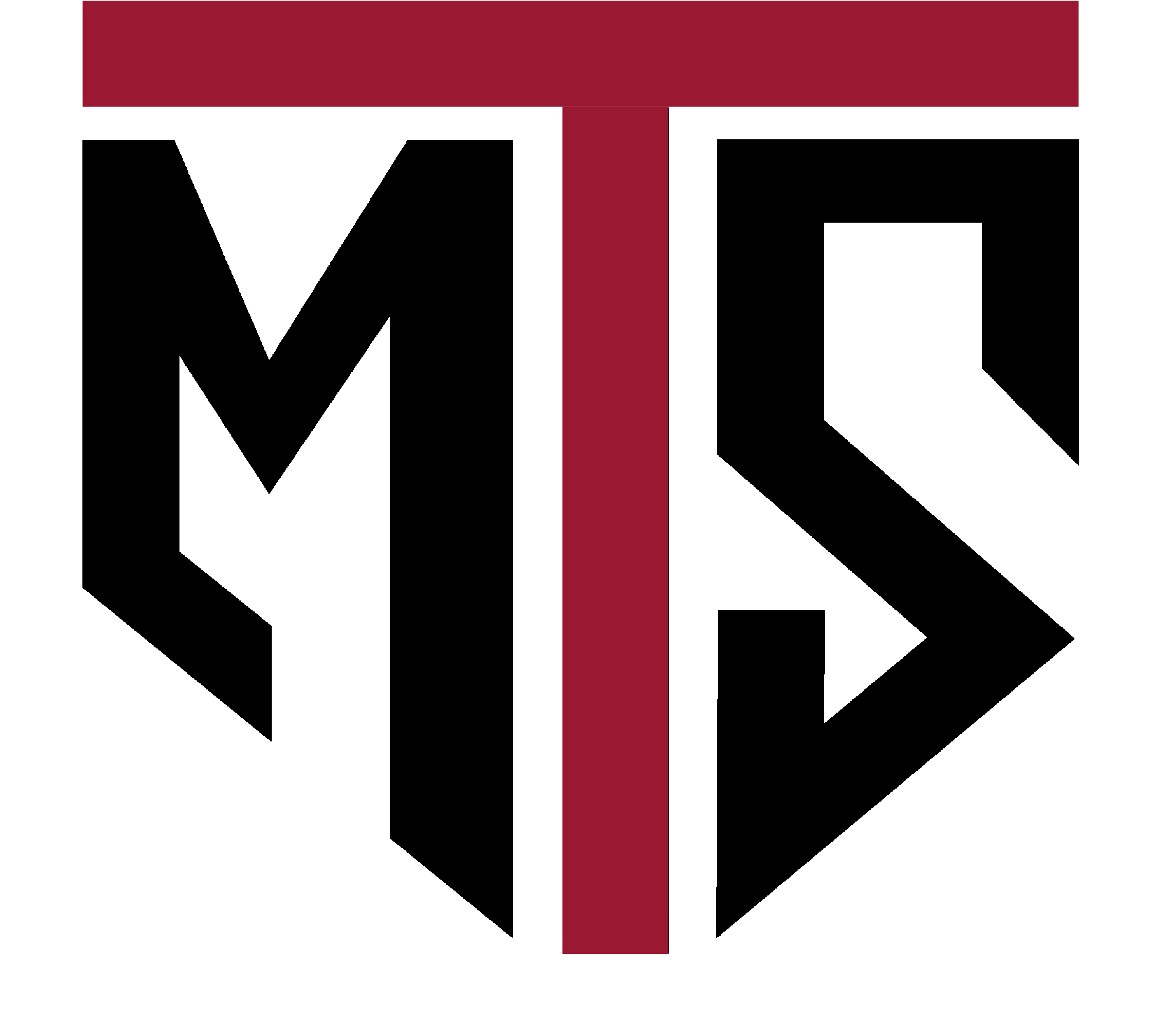 TMS Proje İç ve Dış Ticaret Limited Şirketi